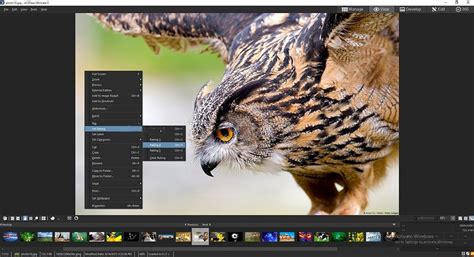 ACDSee Photo Studio 2025 Latest Version Download
